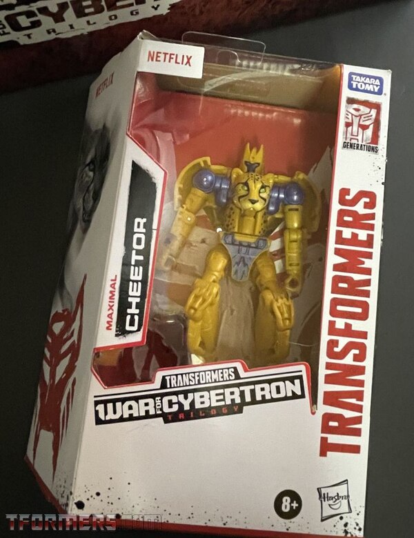 Transformers War For Cybertron Kingdom 35th Anniversary Beast Wars Promo Box  (45 of 57)